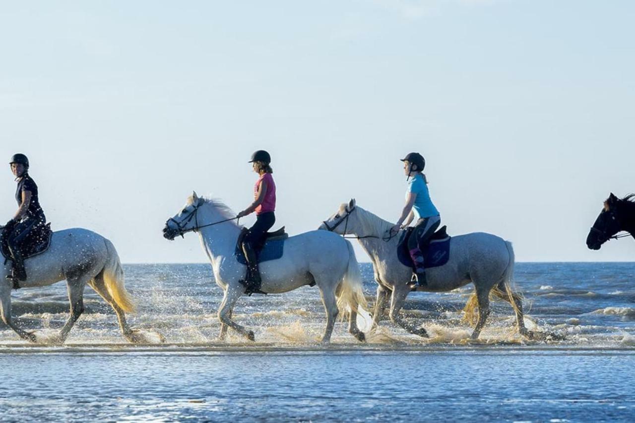 Charmant 2 pièces à 500 m des plages et du centre Cabourg Exterior foto
